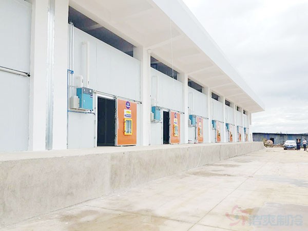 氣調(diào)保鮮庫