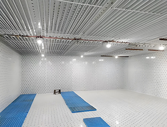 浦東新區(qū)建造100平方冷庫(kù)大概多少錢(qián)？