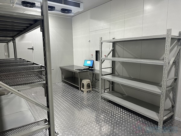 醫(yī)藥自動化冷庫設計