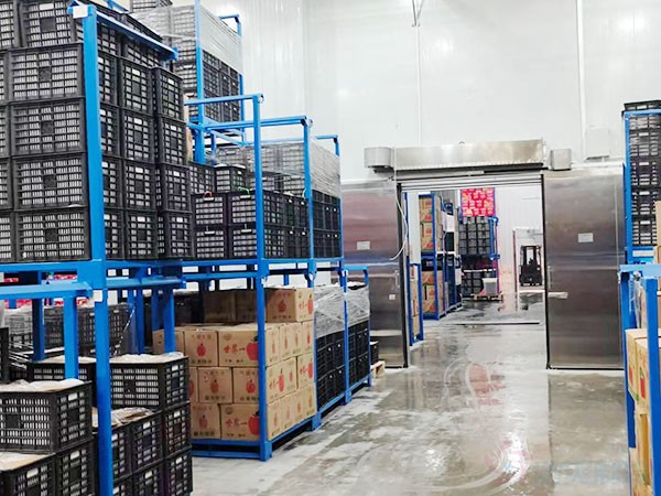 智能溫控冷庫建設(shè)