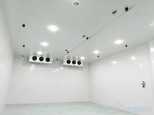 冰塊冷庫(kù)建造