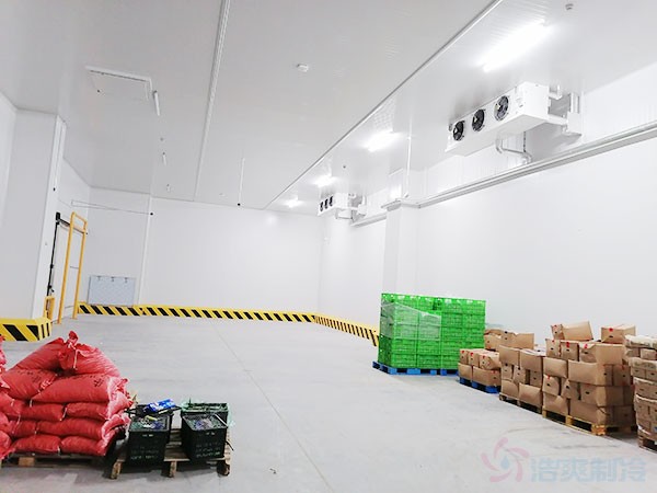 吉爾吉斯比什凱克高效冷庫方案:建設(shè)要點與配置建議
