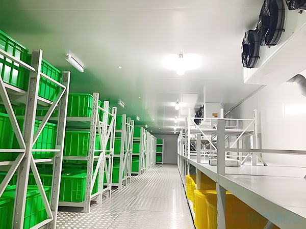 體外診斷試劑冷庫建設(shè)要求與溫控管理要點