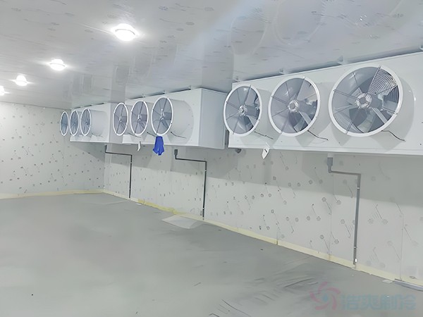 低溫冷庫(kù)安裝流程及注意事項(xiàng),施工步驟與驗(yàn)收要點(diǎn)