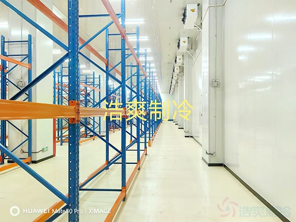 2-8℃藥品冷藏庫(kù)建設(shè)方案及設(shè)計(jì)要求